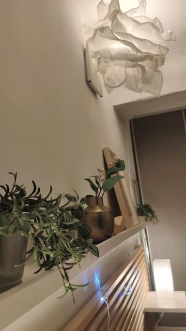 Appartement - 브란도 외부 사진